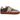 Amira 1