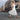 Charlotta 1|hero_img