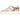 Alga 2