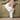 Adley 23|hero_img