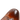 Tom 13