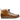 Harvey 1